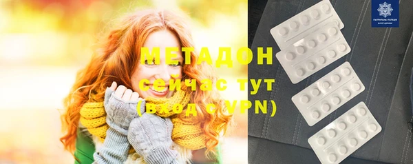 молекула духа Вяземский