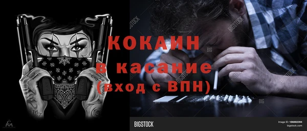 молекула духа Вяземский