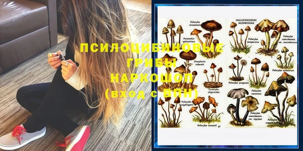 молекула духа Вяземский