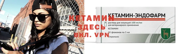 молекула духа Вяземский