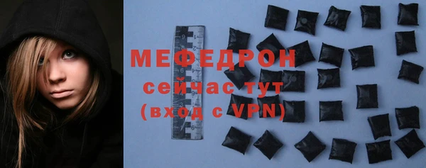 молекула духа Вяземский