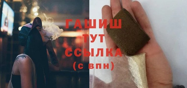 молекула духа Вяземский