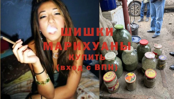 молекула духа Вяземский