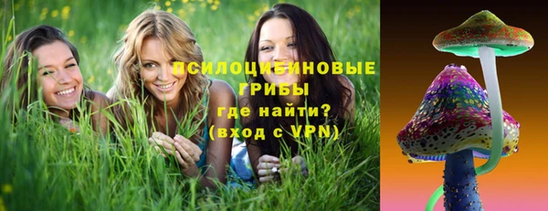 молекула духа Вяземский