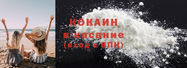 молекула духа Вяземский