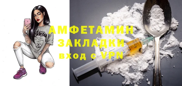 молекула духа Вяземский