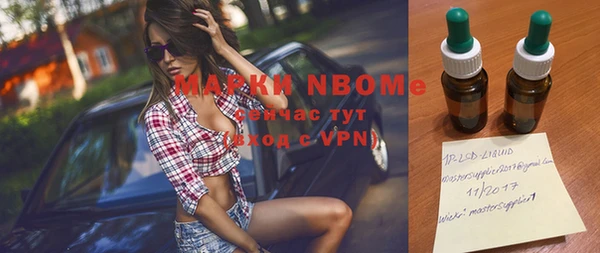 молекула духа Вяземский